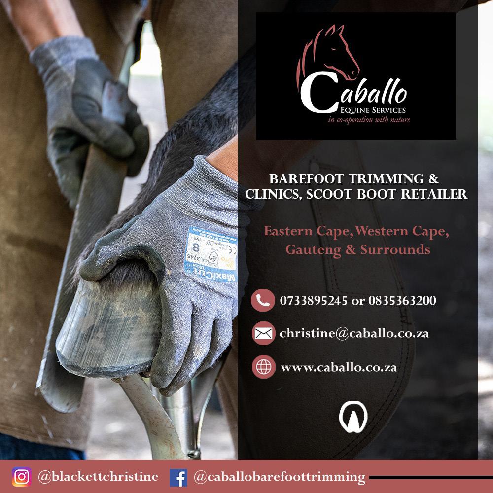 Barefoot trim vs farrier trim Issuu