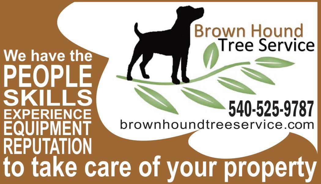 Micah Fraim of Fraim, Cawley & Company Issuu