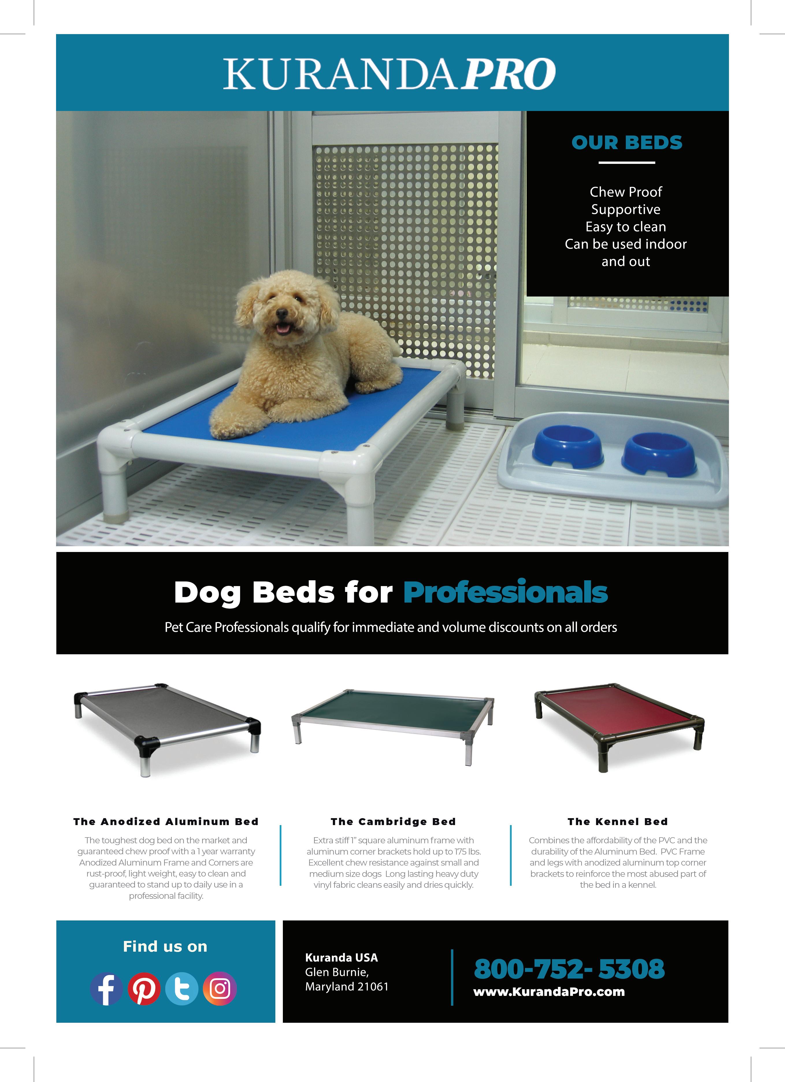 Pet Boarding and Daycare September/October 2022 by Barkleigh