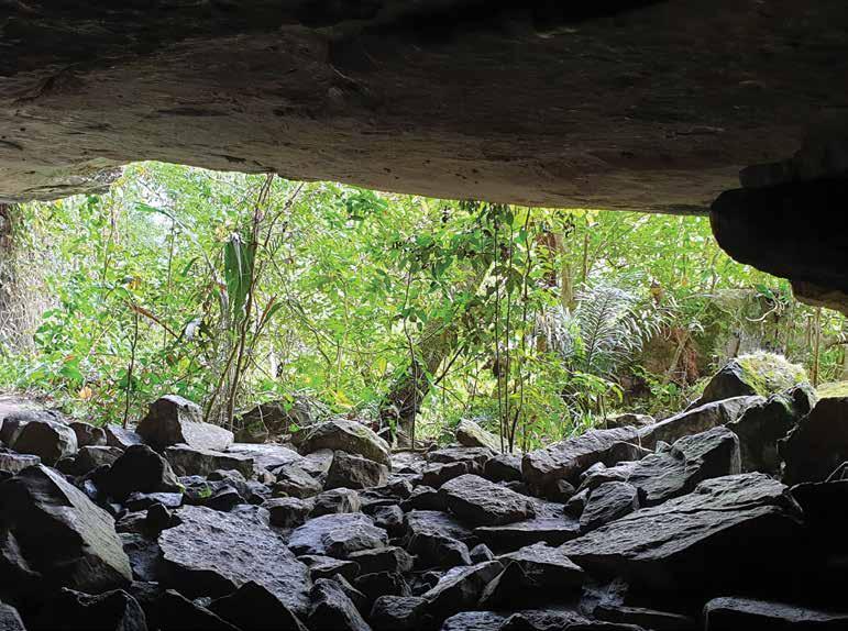 The Painted Forest Rock Art by University of Exeter Issuu