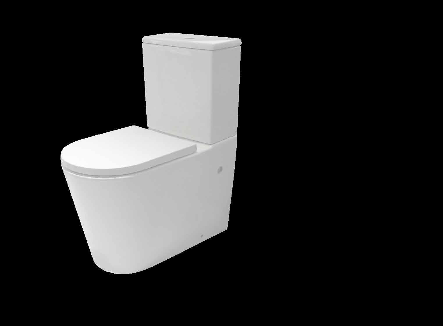 Raymor Toilets Digital Brochure by