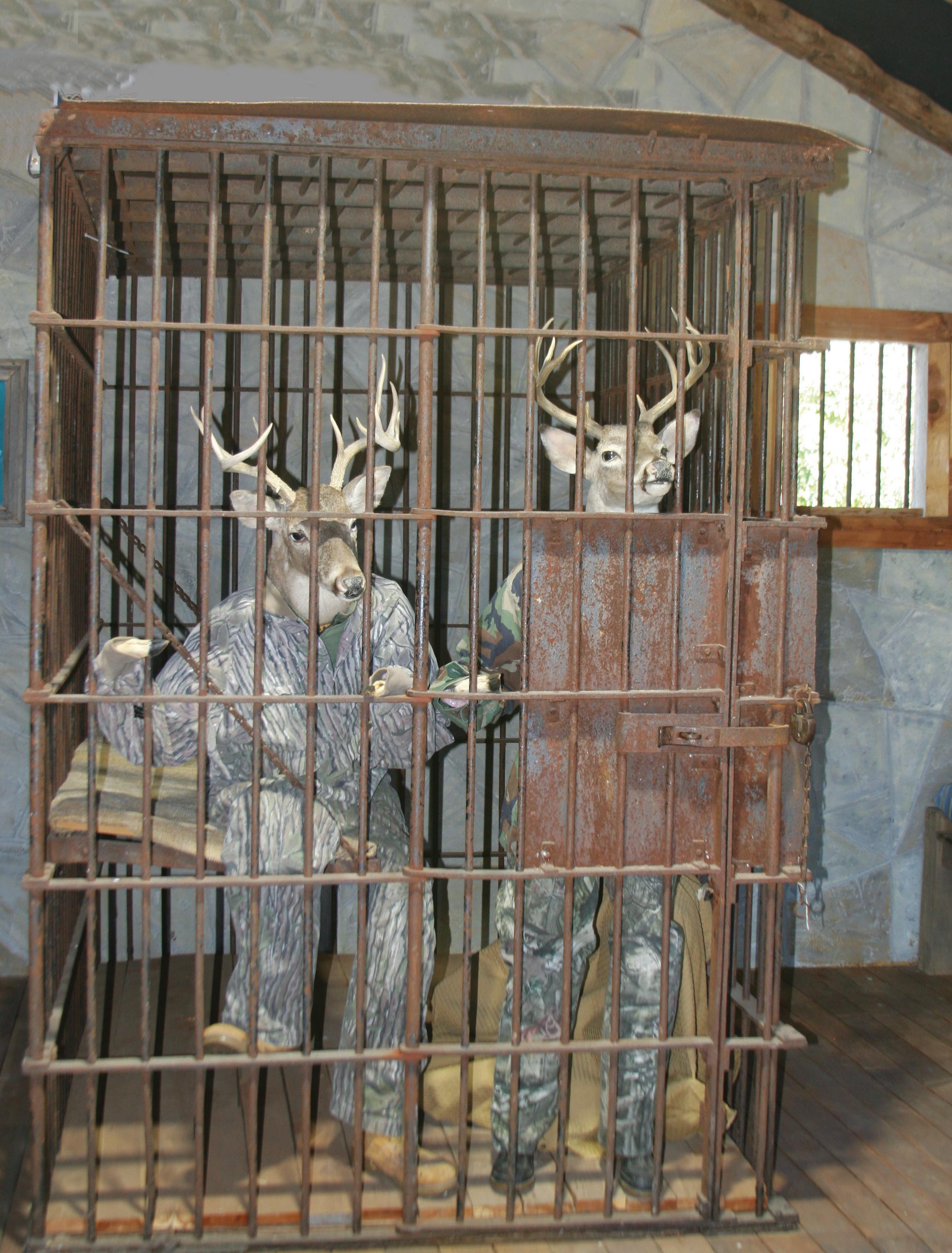 Junction, TX Hunter's Guide 20222023 by Digital Publisher Issuu