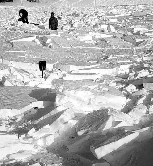Snow, Weather, and Avalanche Guidelines, 4th edition 2022 by American