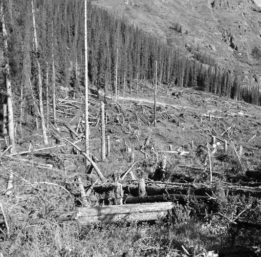 Snow, Weather, and Avalanche Guidelines, 4th edition 2022 by American