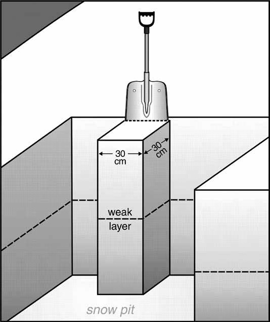 Snow, Weather, and Avalanche Guidelines, 4th edition 2022 by American