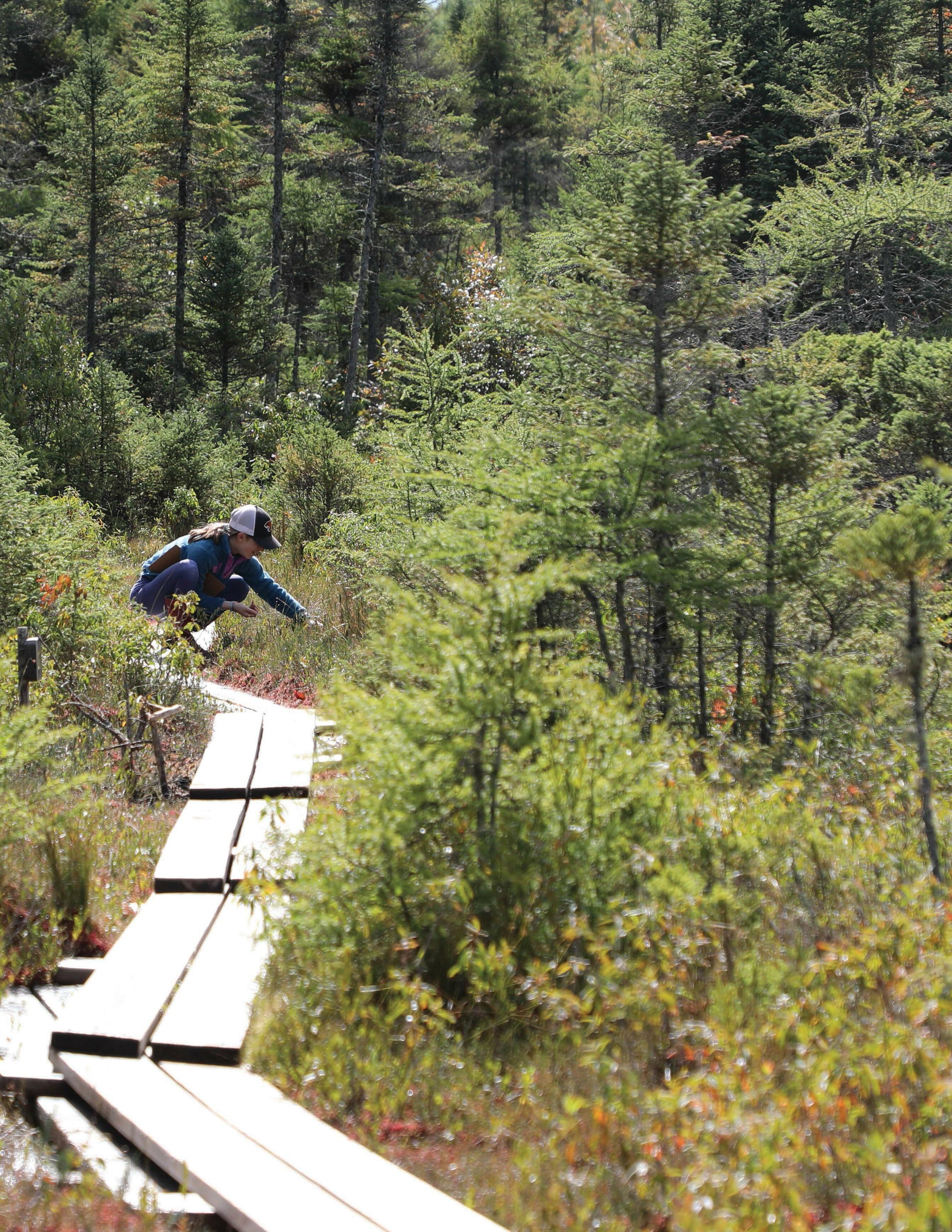 2022 Proctor Magazine  Version by Proctor Academy Issuu