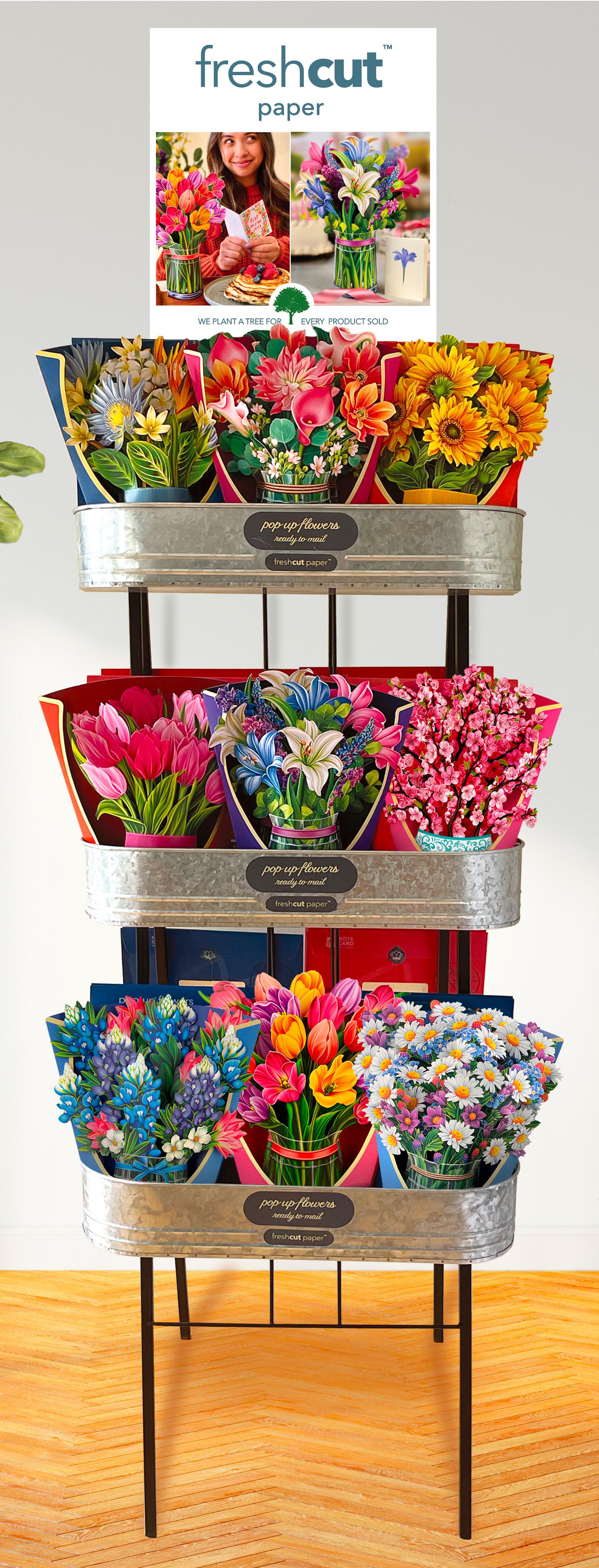 FreshCut Paper 2023 Catalog First Edition by FreshCut Paper Issuu