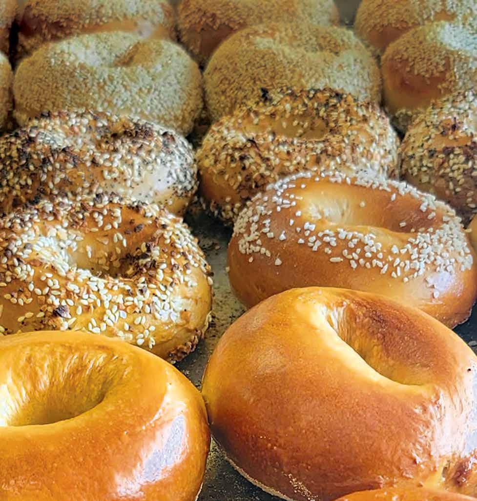 Are Blueberry Bagels Bad For Dogs