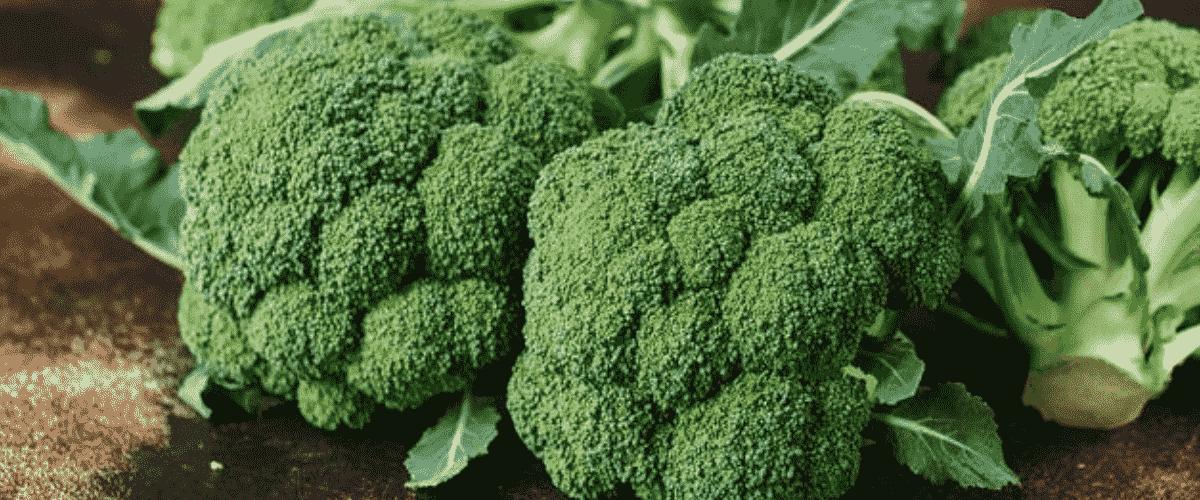 Broccoli Definition by BlackBugs Issuu