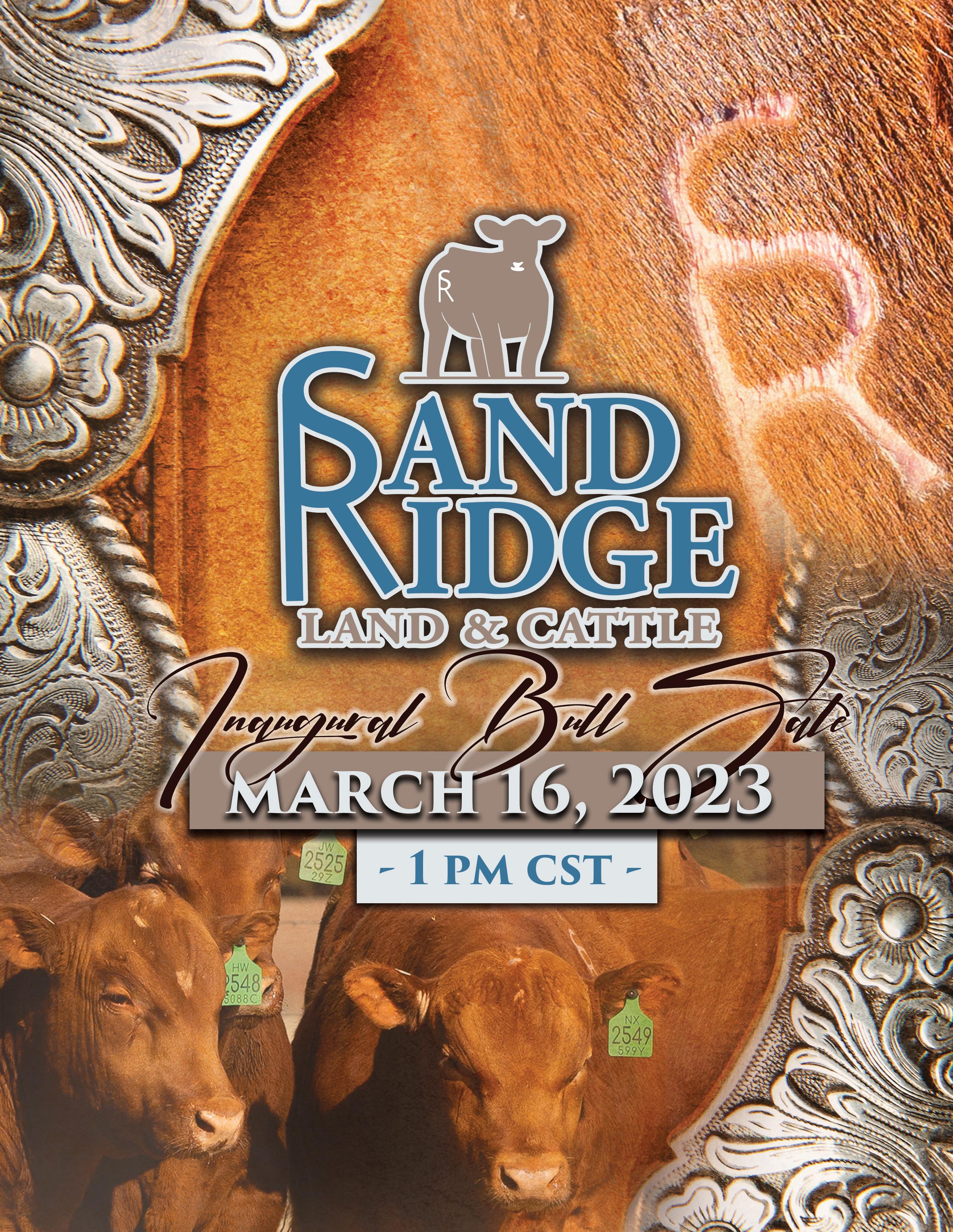 Sandridge Land + Cattle 2023 Sale Catalog by The Show Circuit Issuu