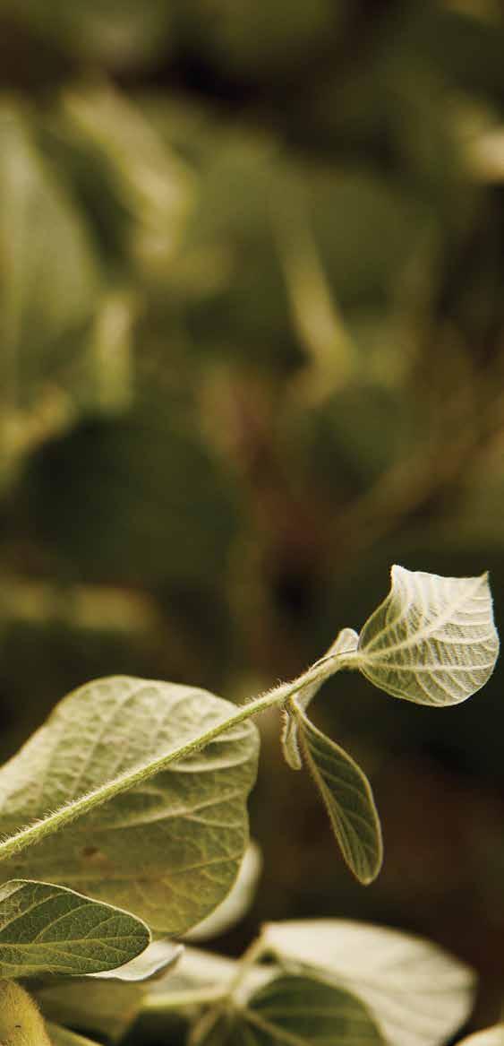 2022 Land O'Lakes, Inc. Annual Report by landolakesinc Issuu