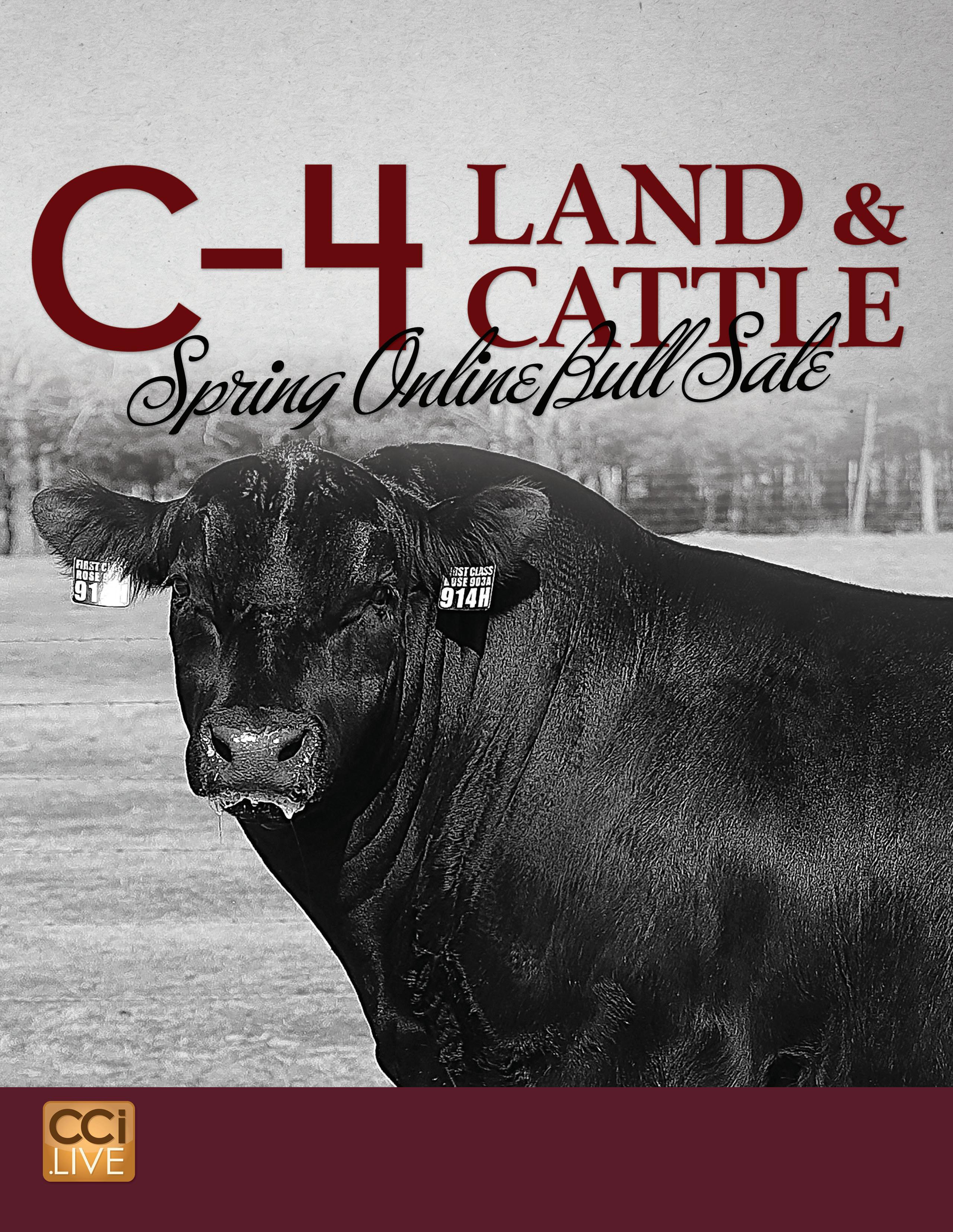 2023 C4 Land & Cattle Online Bull Sale by SCI Stephanie Cronin, INC