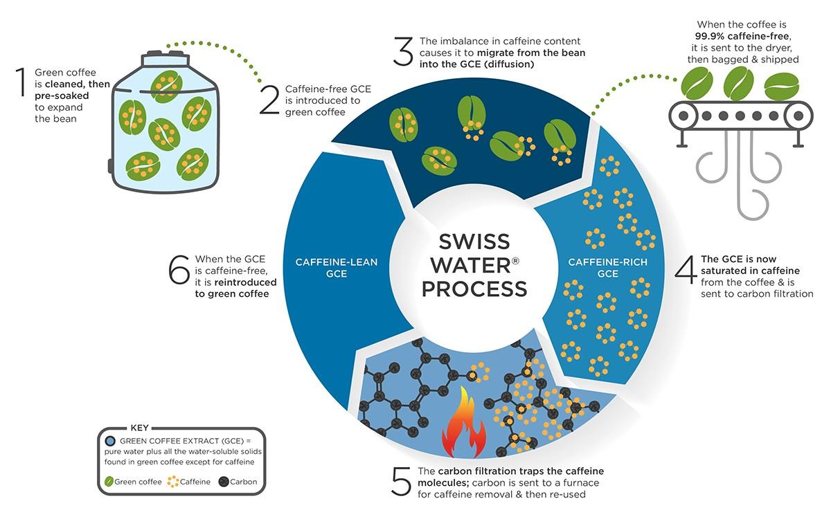 How Does The Swiss Water Process Remove Caffeine From Coffee? by AmericanLifeguardManual Issuu