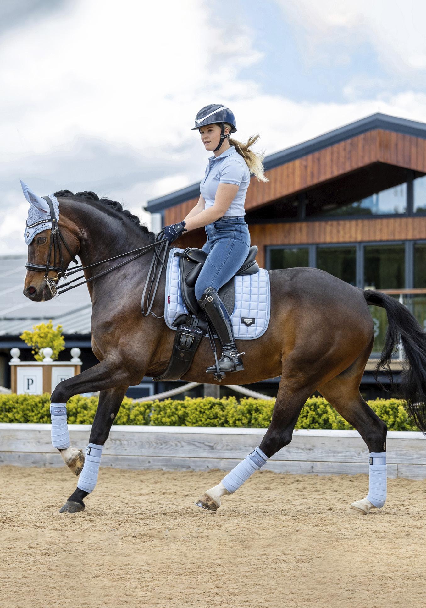 SS23 LeMieux Retail Brochure by Robert Lemieux Issuu