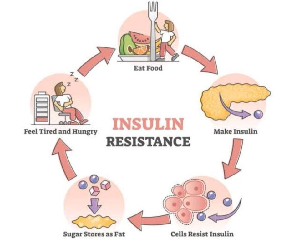 Side Effects of Insulin Therapy by Health useful Issuu