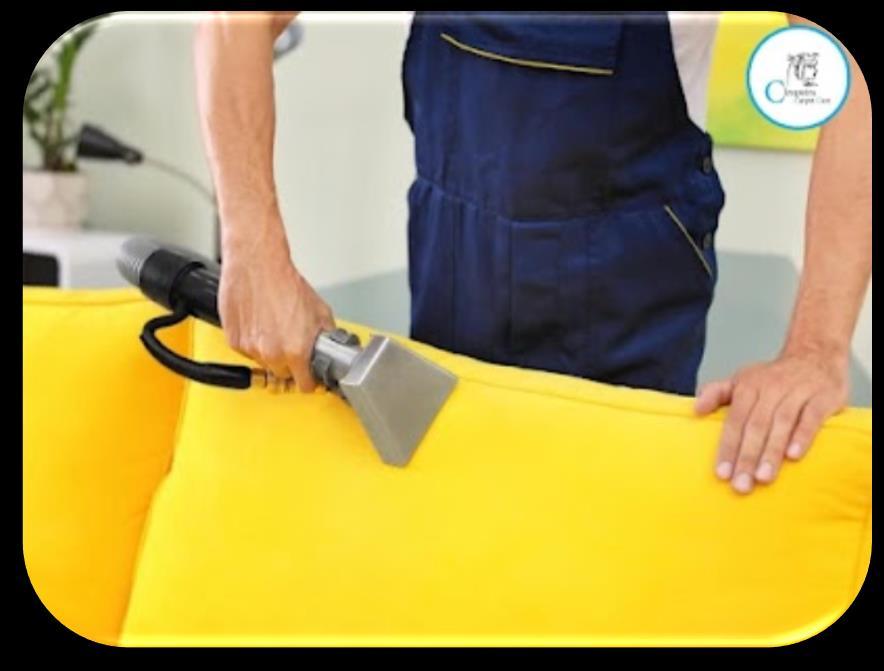 Emergency Carpet Cleaning in my area Cleopatra Carpet Care by