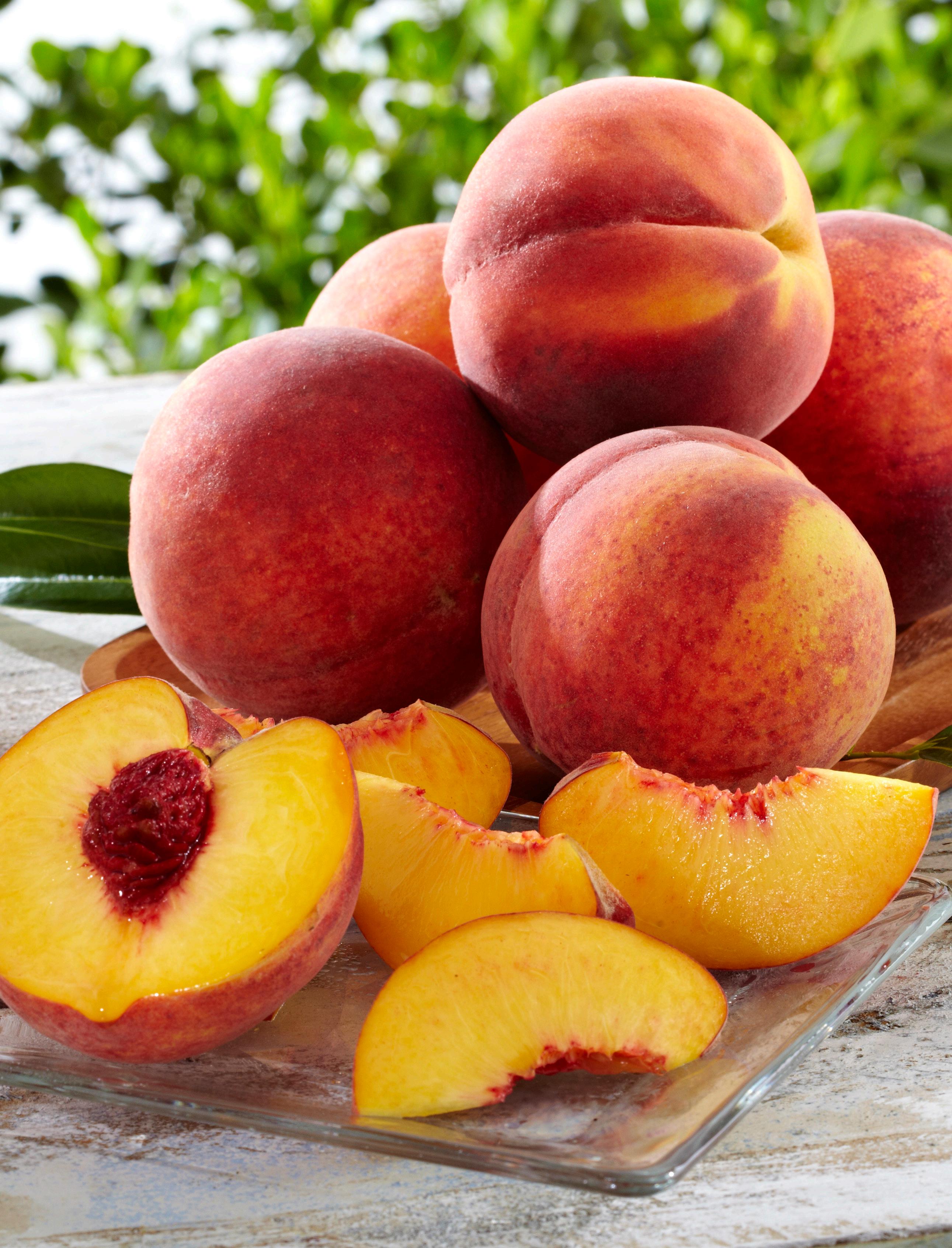 Hale Groves Catalog Summer 2023 by Indrio Brands Issuu