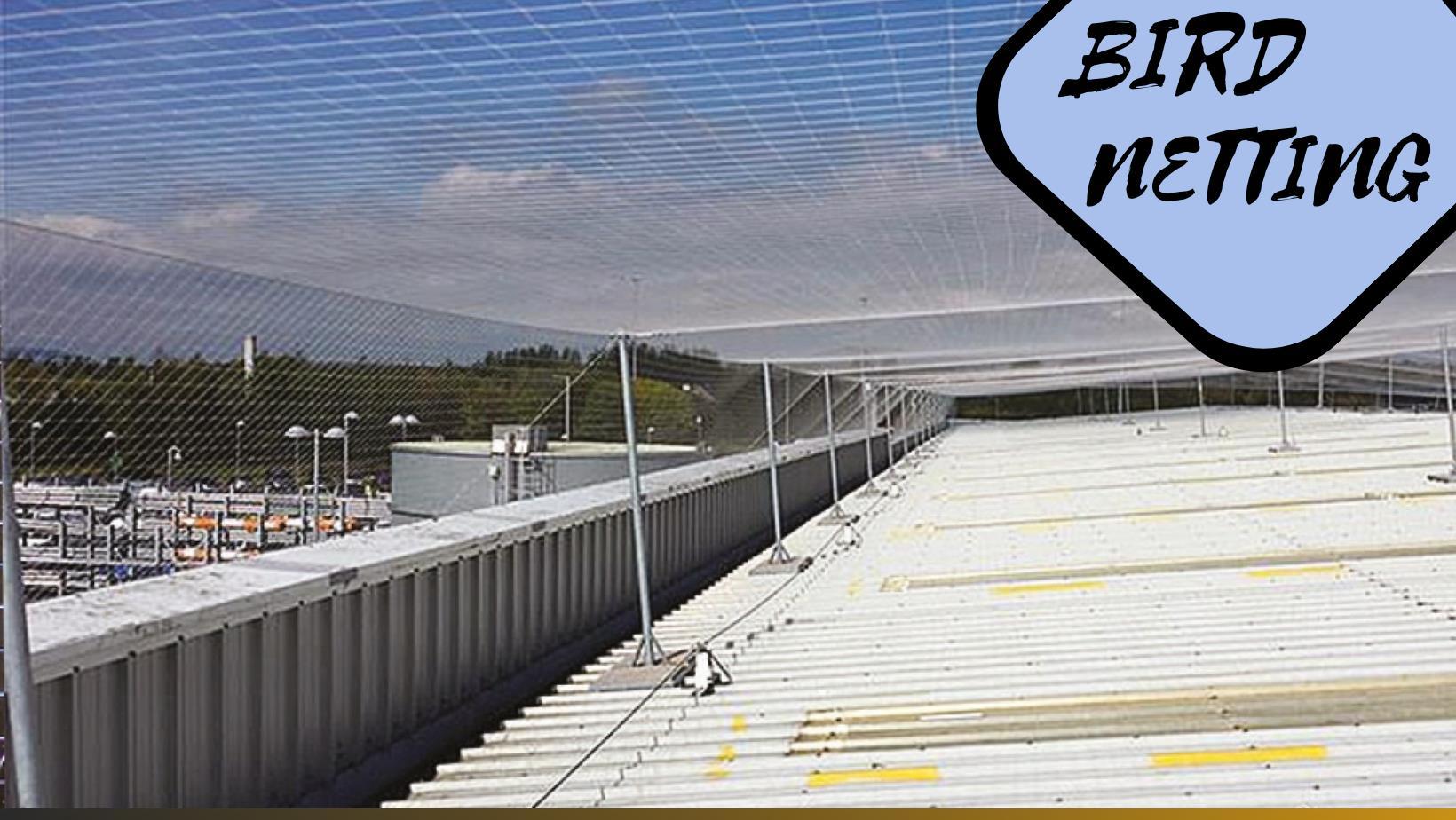 The Secret of bird netting by Calenwilson Issuu