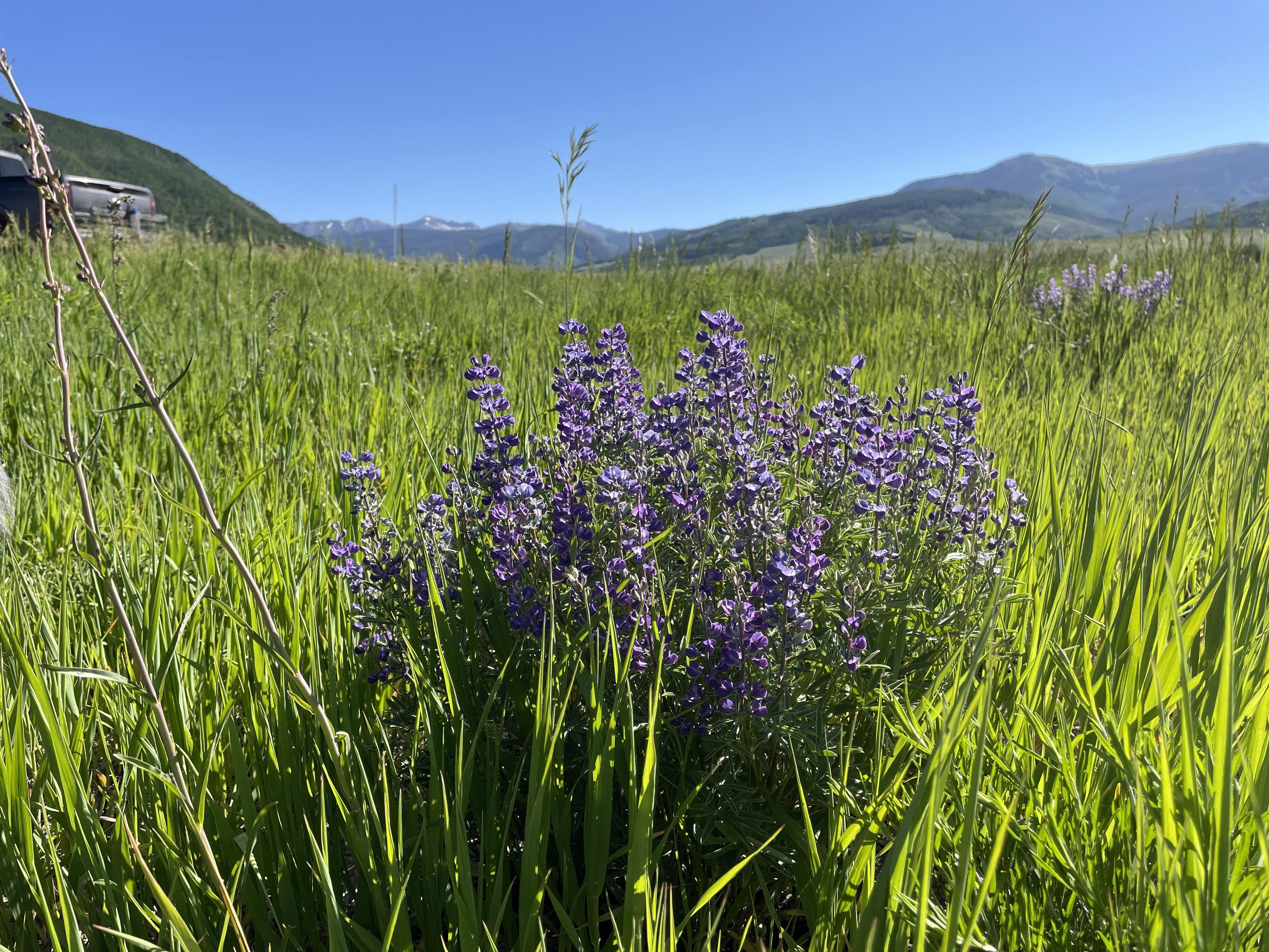 Crested Butte Market Report, Second Quarter 2023 by Coldwell Banker