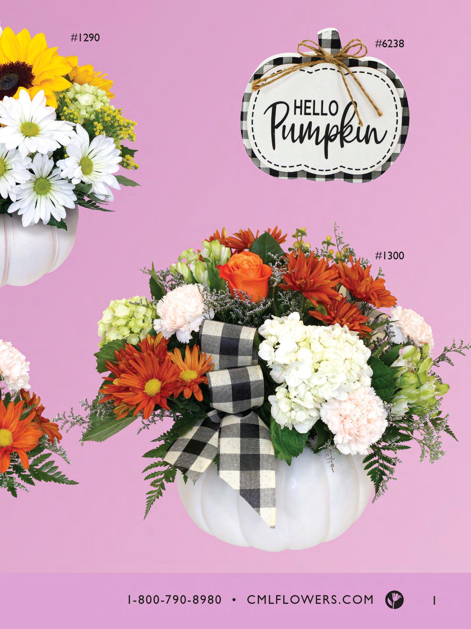 Connells Maple Lee Fall Brochure 2023 by US Retail Flowers Inc. Issuu
