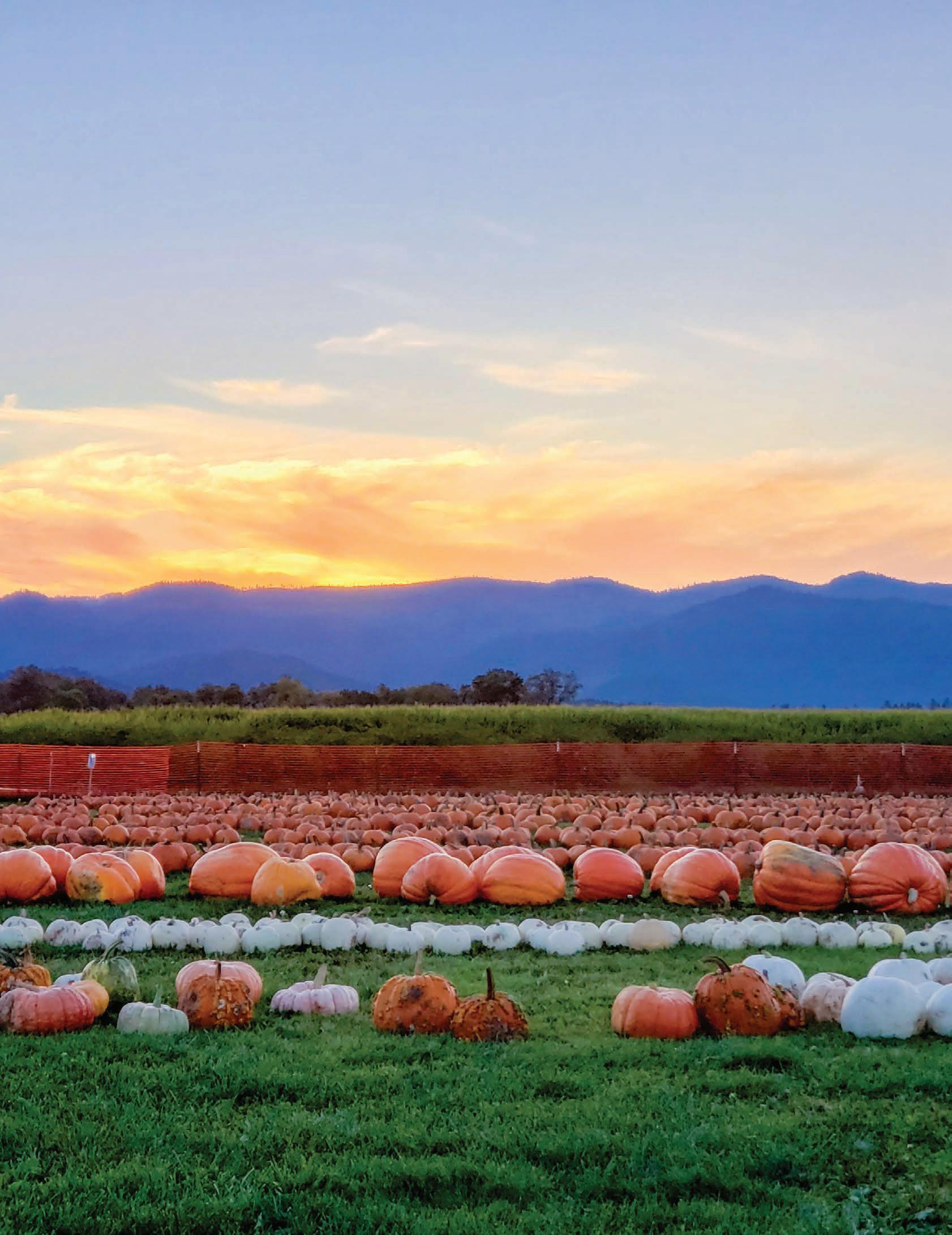 GP Magazine Grants Pass Culture Dining Lifestyle — V2N3 2023 by