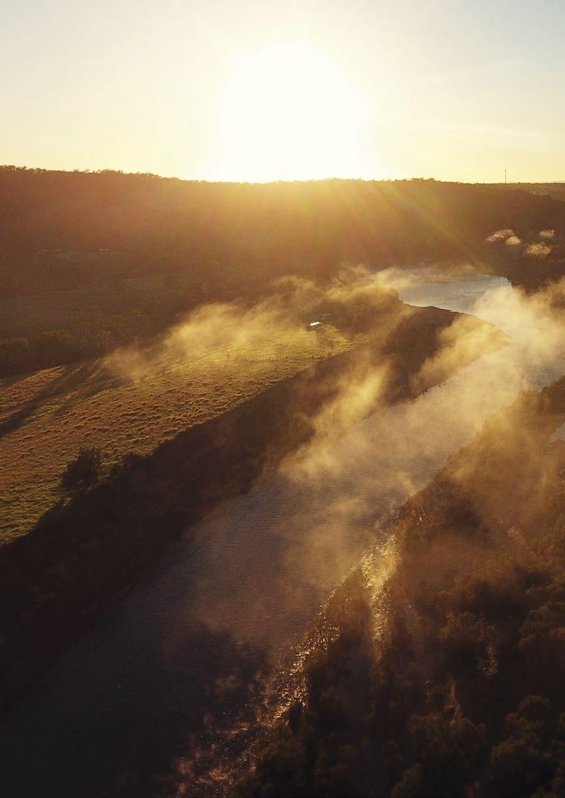 Clarence Valley Native Plants Catalogue by Clarence Valley Council Issuu