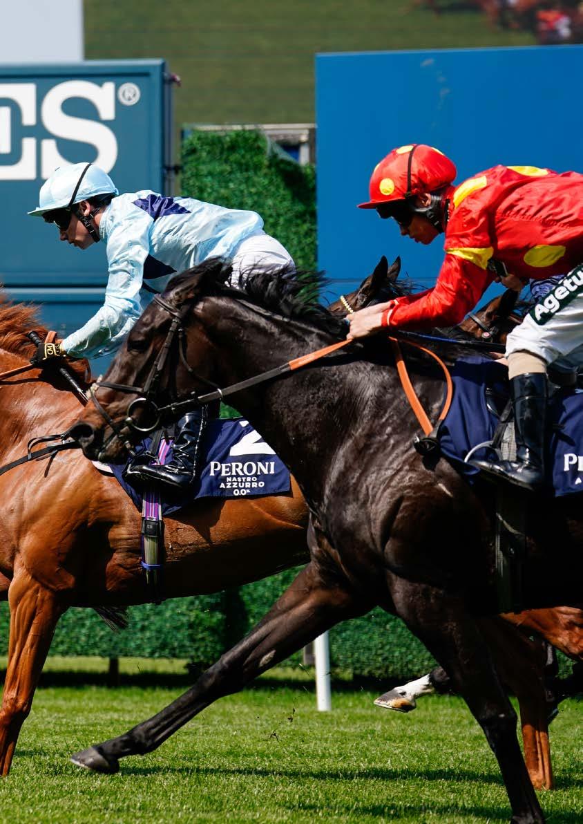 2025 Royal Ascot Racing Club Brochure by Ascot Racecourse Issuu 2025 Royal Ascot Racing Club Brochure by Ascot Racecourse Issuu