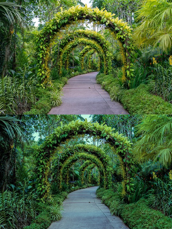 Preset Lightroom Greeneries · Karyakarsa