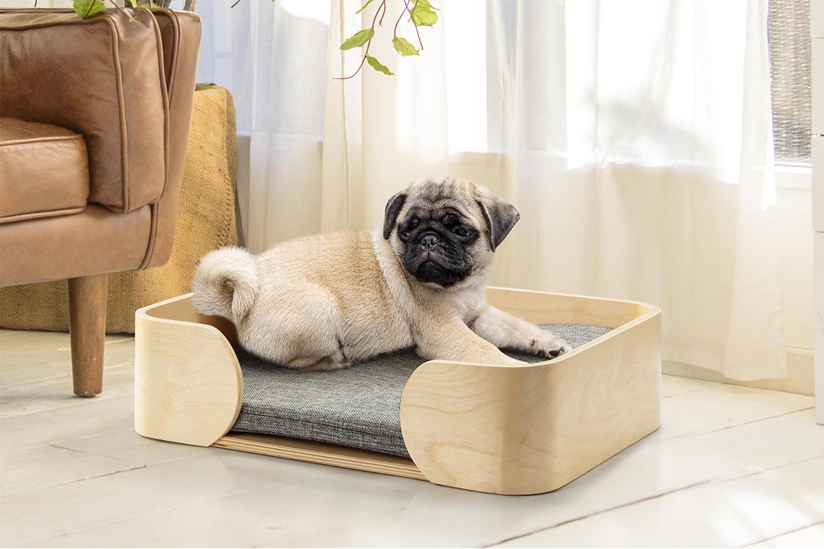 Buy Pawever Pets Scandi Pet Bed with Cushion Online Matt Blatt.