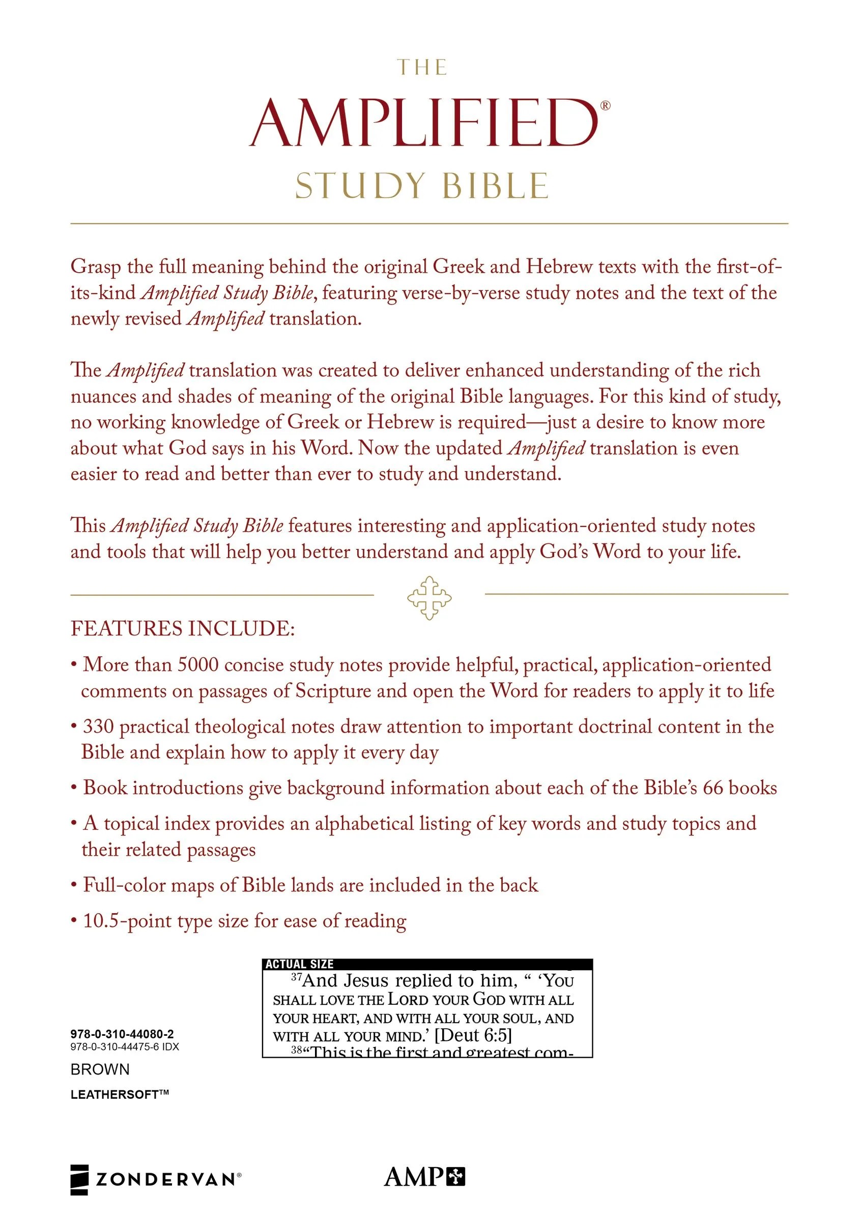 Amplified Study Bible Brown (Black Letter Edition) Koorong