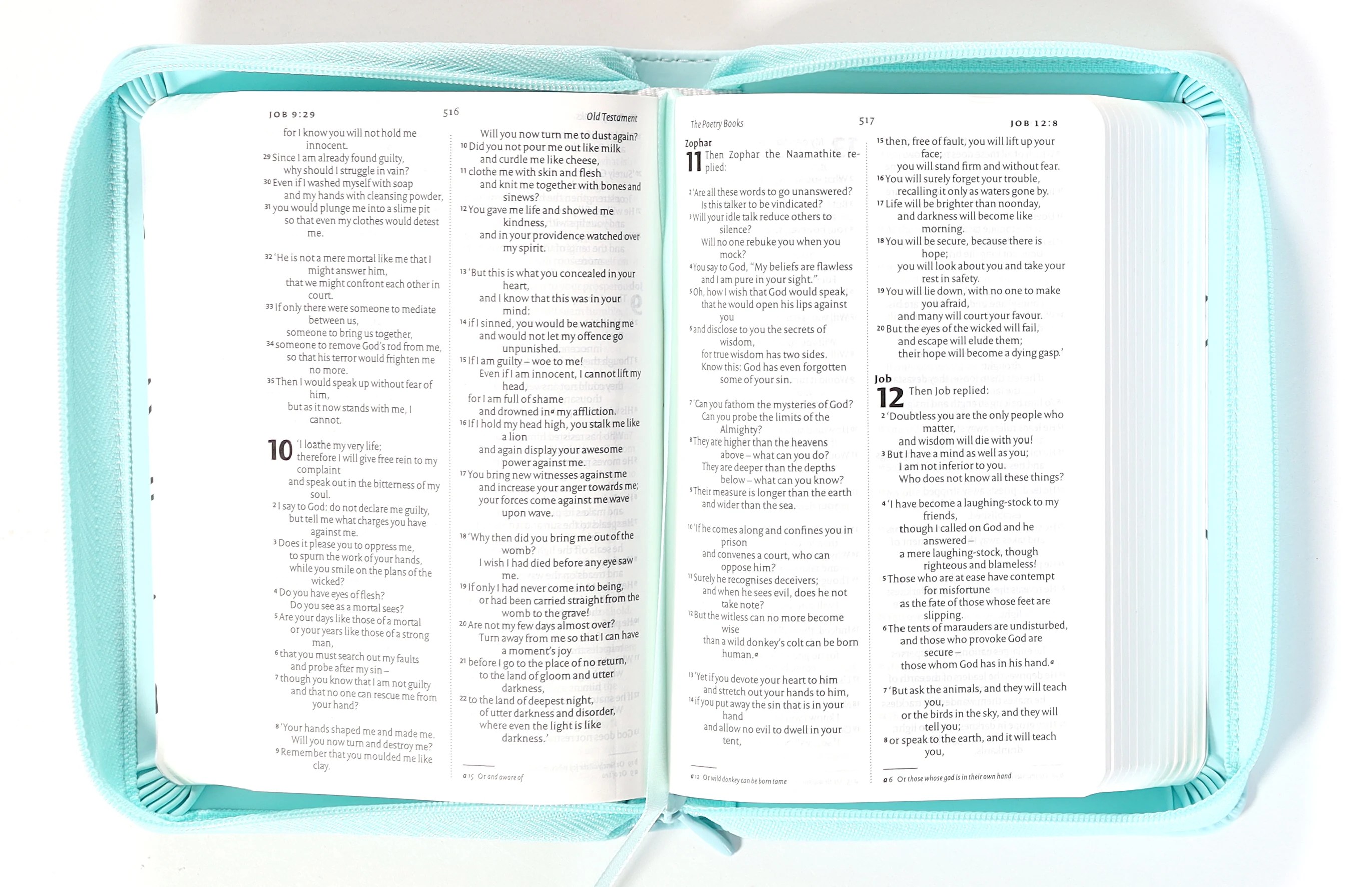NIV Pocket Bible Mint SoftTone With Zip British Edition Koorong