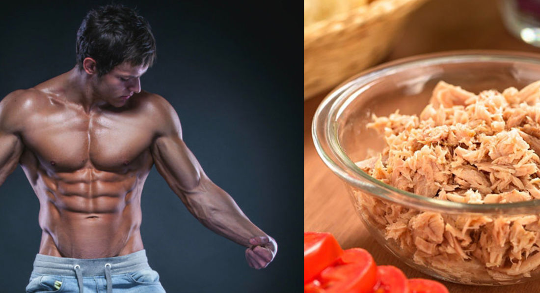 The Knowledge The correlation between tuna and bodybuilders