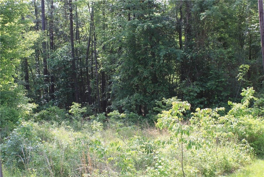 20.26 acres in Grant Parish, Louisiana