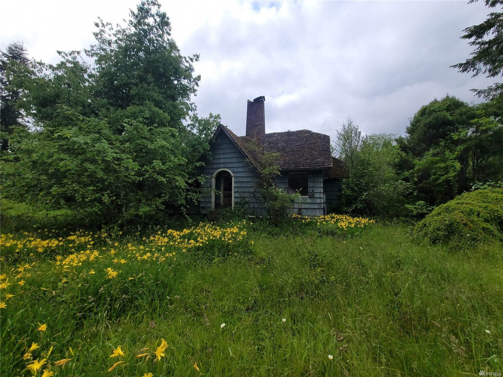 661 acres in Grays Harbor County Washington