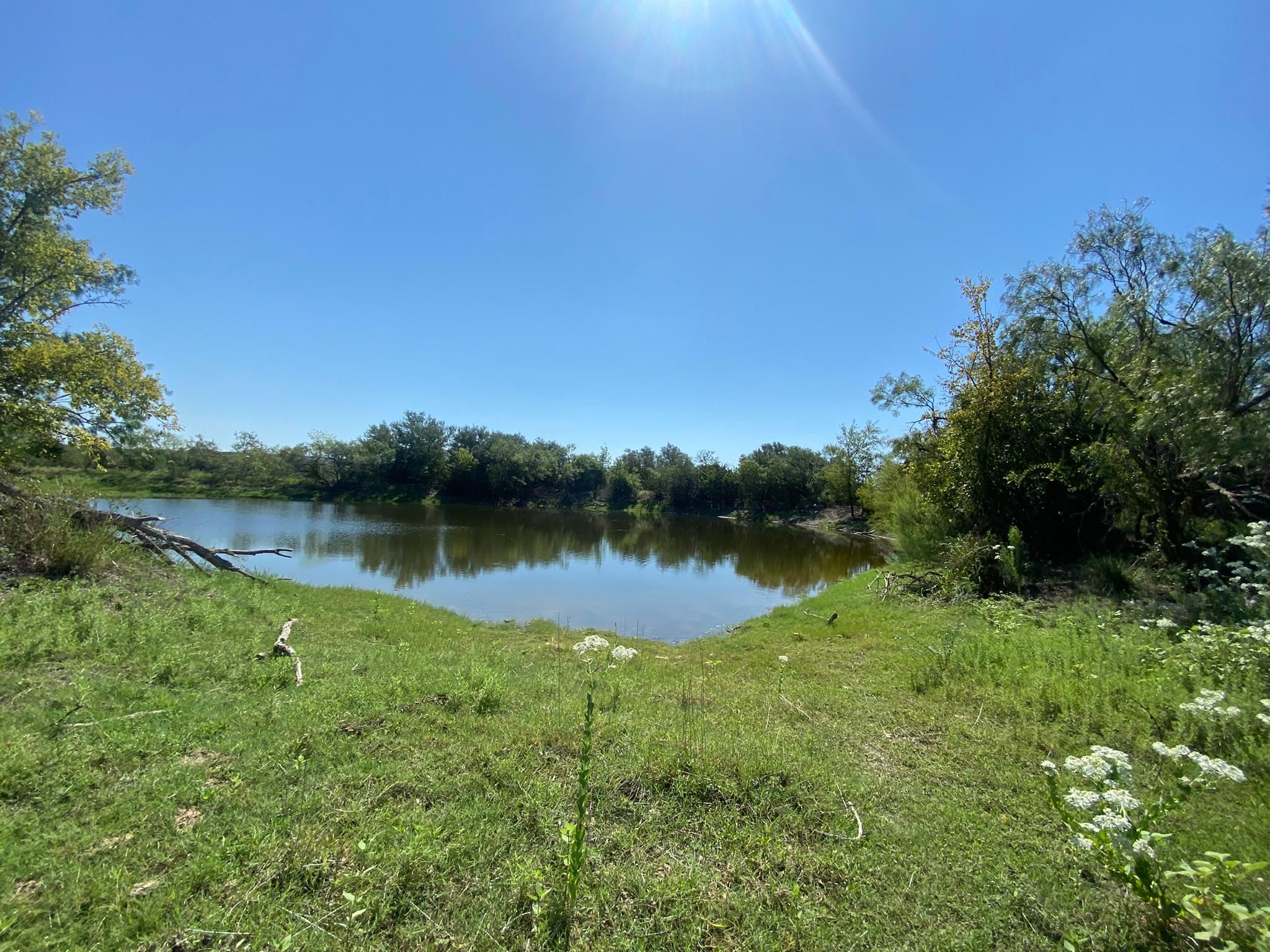 91 Texas 16, Goldthwaite, TX 76844 MLS 20176787