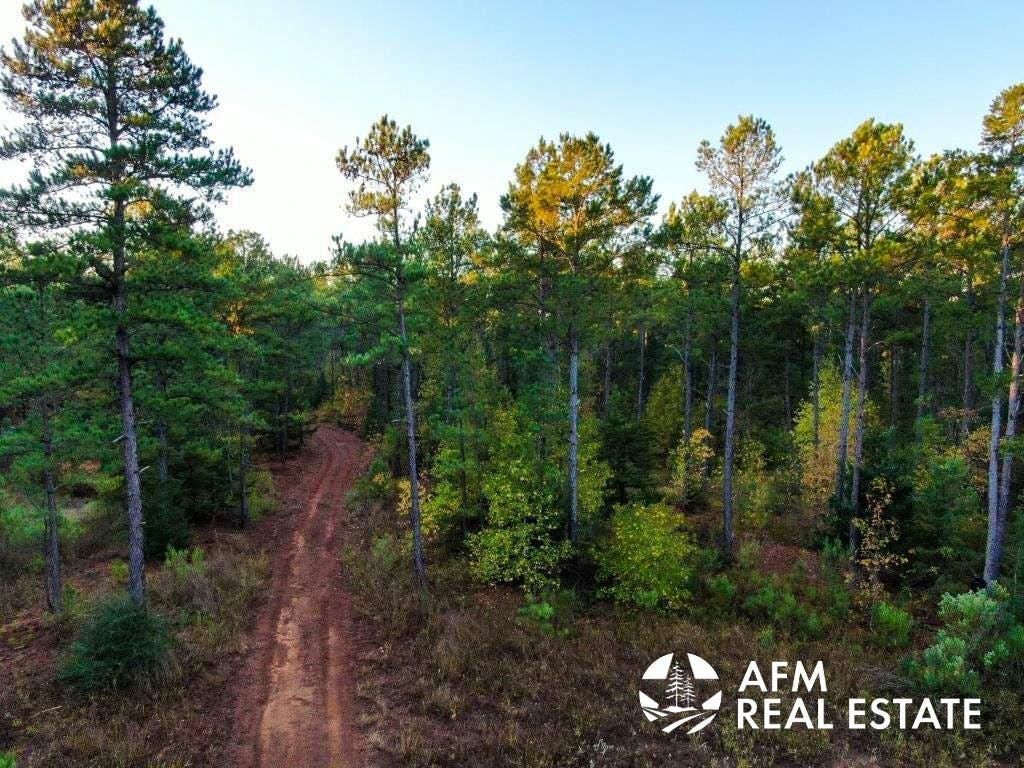 42 acres in Neches, TX, 75779