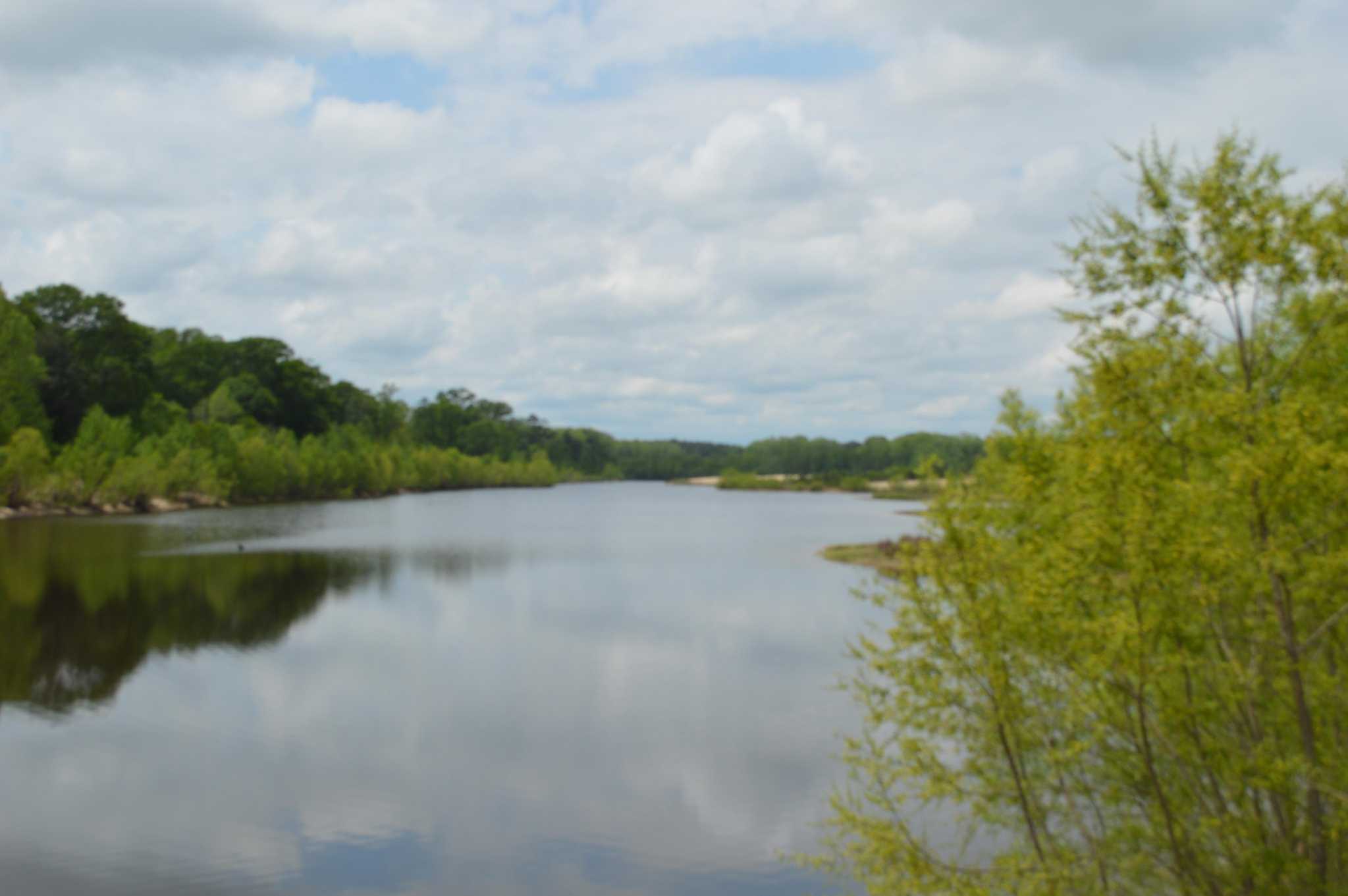 122 Acres on the Bogue Chitto River