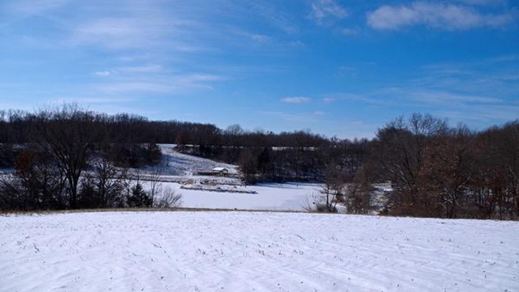 153 Acre Farm, Bowling Green, Pike County, MO
