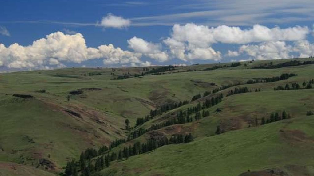 500 acres in Wallowa County, Oregon