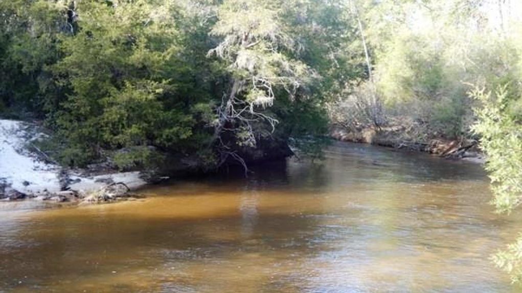 75 acres in Escambia County, Alabama