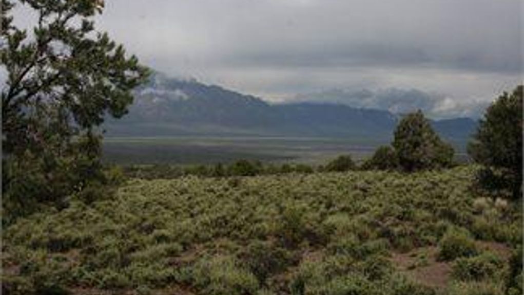 Ely, White Pine County, Northeastern, NV Land For Sale 5 Acres
