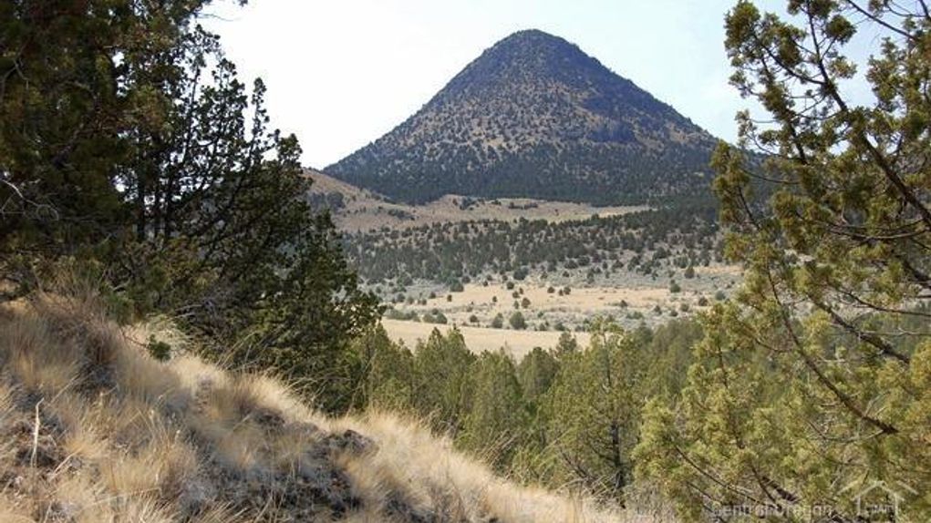 40 acres in Wheeler County, Oregon