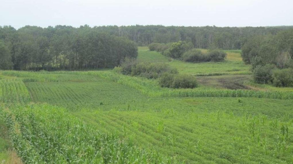 Zap Nd Land For Sale at Samuel Perillo blog