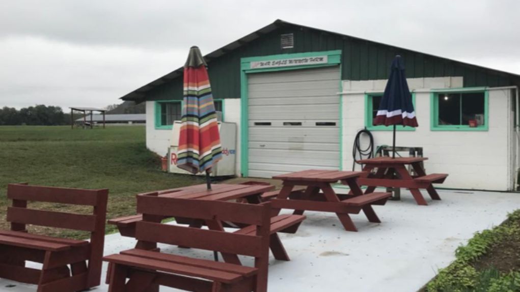 War Eagle Minnow Farm