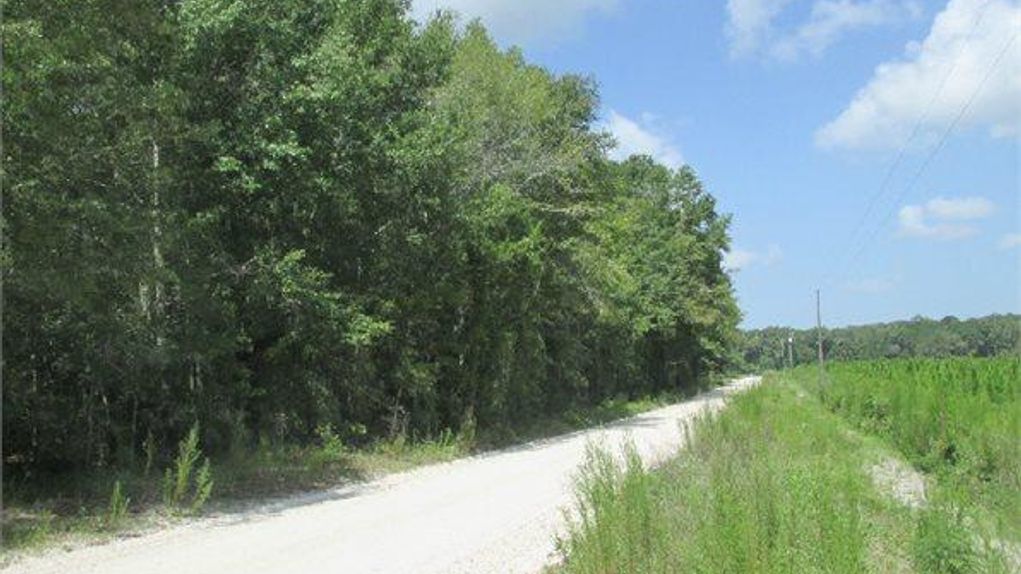 MCALPIN, Suwannee County, FL Land For Sale 6 Acres
