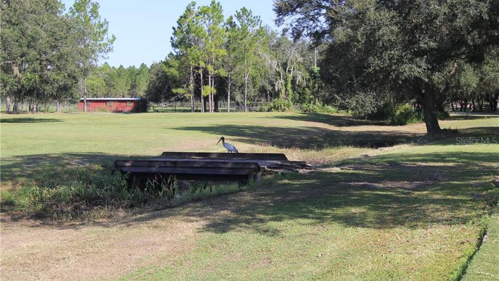 10 acres in Pasco County, Florida