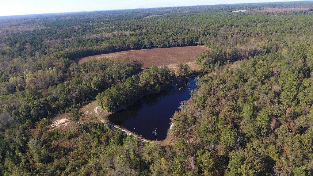 302 acres in Kershaw County, South Carolina