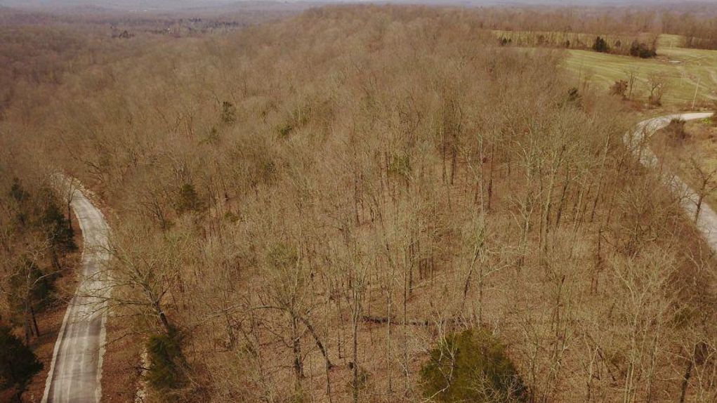 Hunting Property Bordering Hoosier National Forest In Southern Indiana