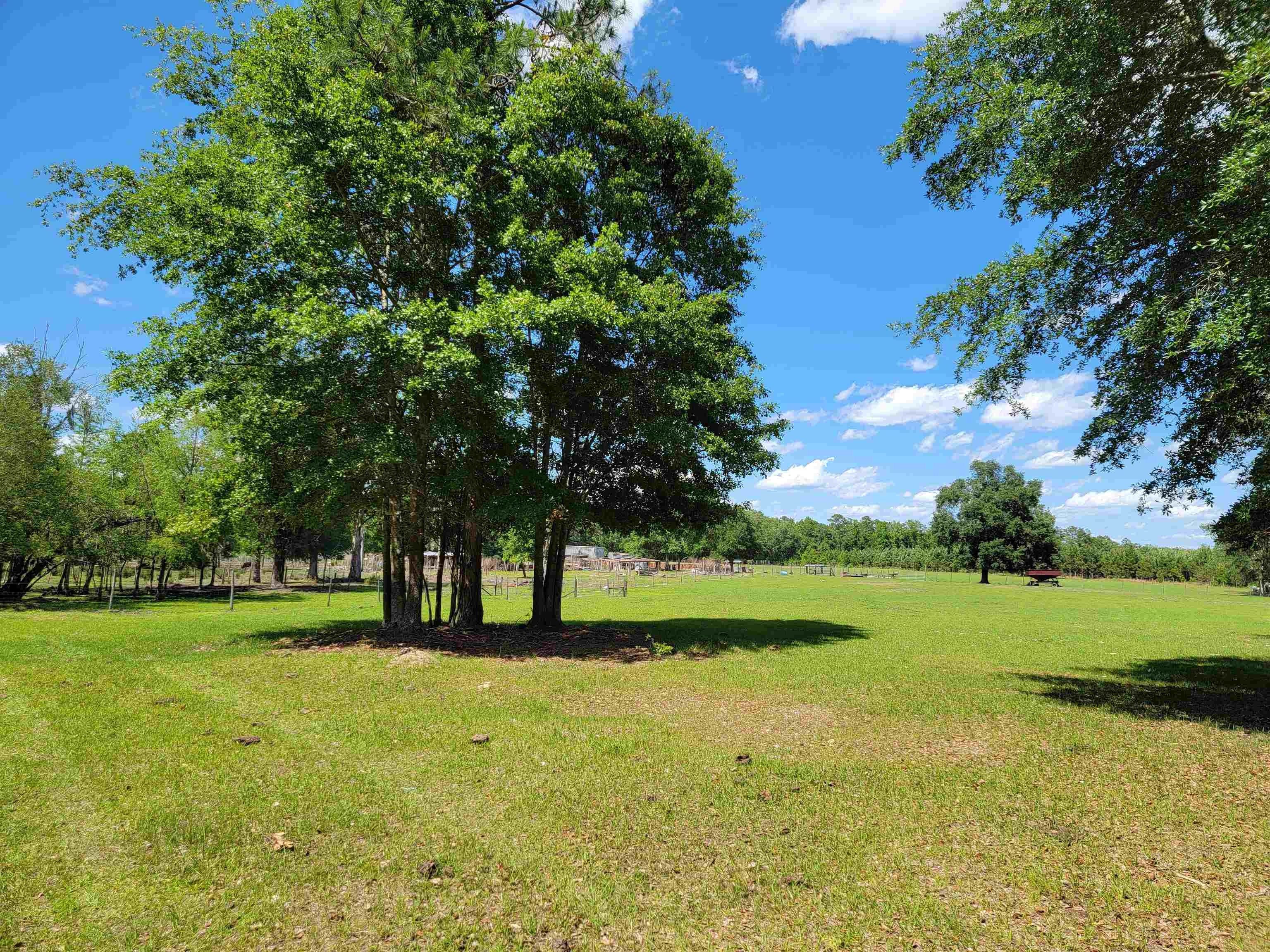 Madison, Madison County, FL Undeveloped Land for sale Property ID 413497084 LandWatch