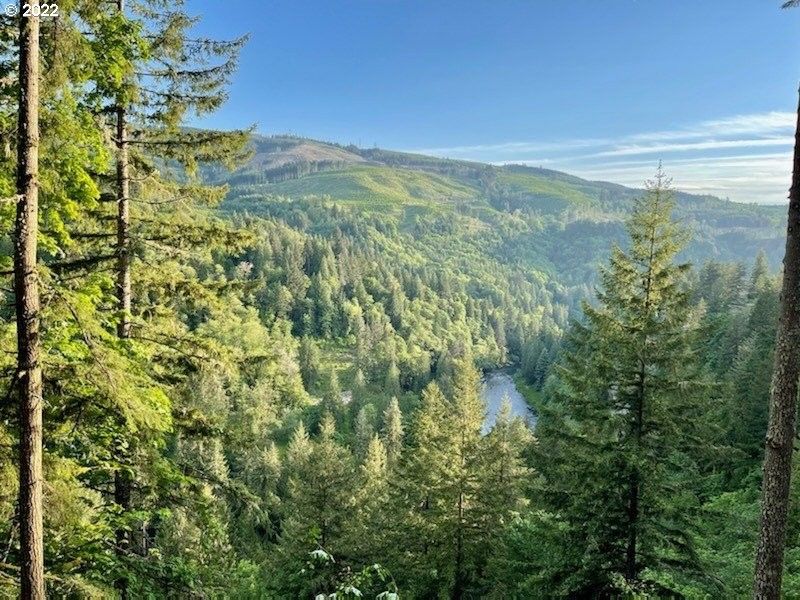 Kalama, Cowlitz County, WA Undeveloped Land for sale Property ID 414703266 LandWatch